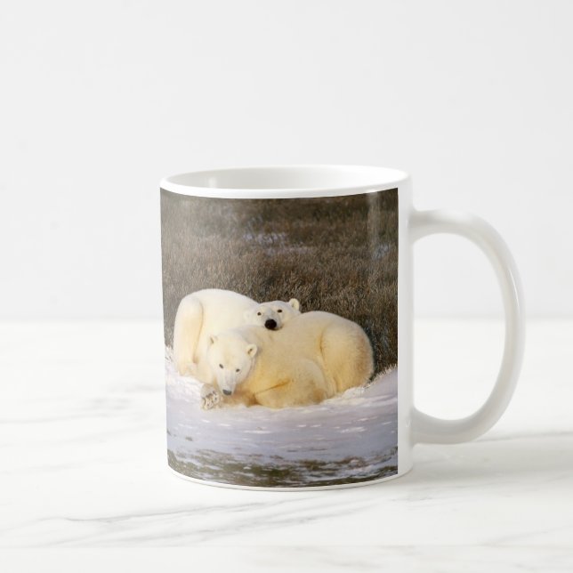 Eisbär-Schalen-Reihe Kaffeetasse (Rechts)
