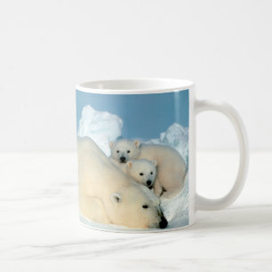 Eisbär u. CUB durch Steve Amstrup Kaffeetasse