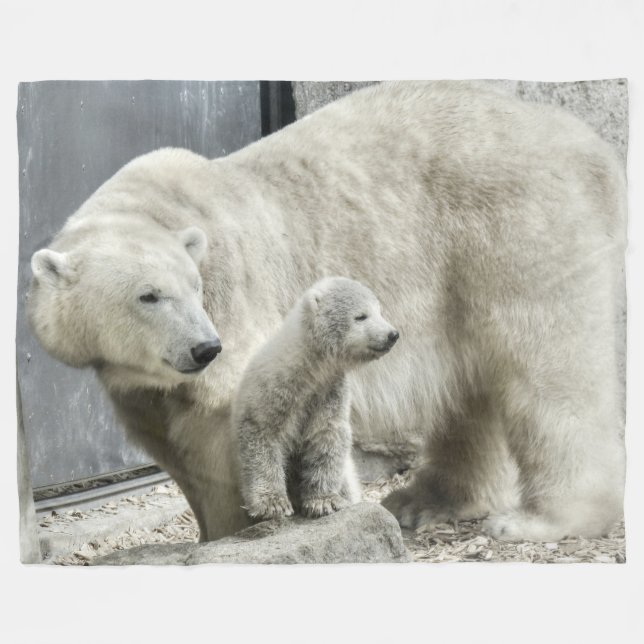 Eisbär und Kürbis Fleecedecke (Vorderseite (Horizontal))