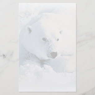 Eisbär und Schnee-Briefpapier Briefpapier