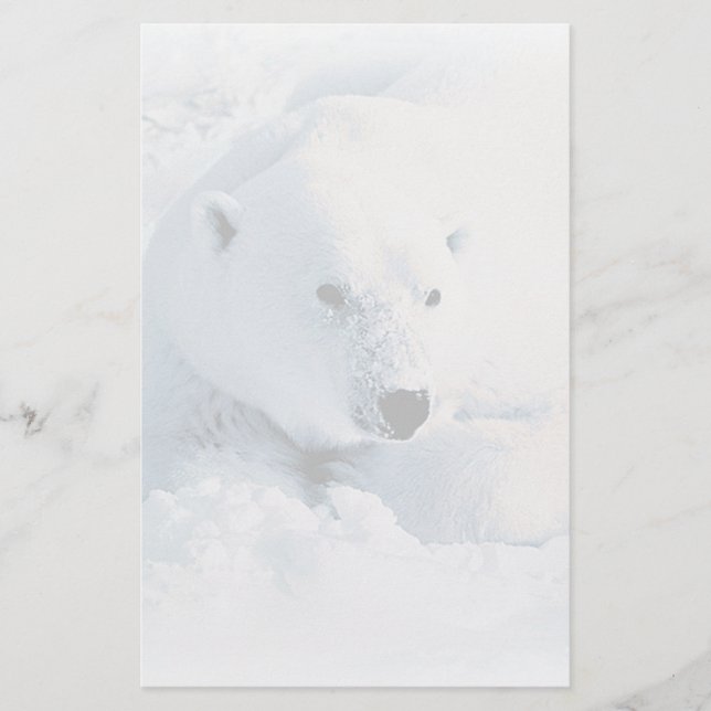 Eisbär und Schnee-Briefpapier Briefpapier (Vorderseite)