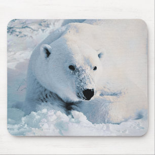 Eisbär und Schnee Mousepad