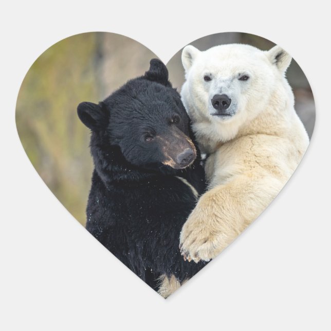 Eisbär und Schwarzbär Herz-Aufkleber (Vorderseite)