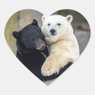Eisbär und Schwarzbär umarmen sich Herz-Aufkleber