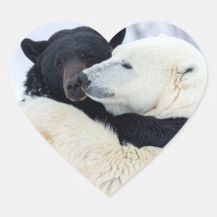 Eisbär und Schwarzbär umarmen sich Herz-Aufkleber