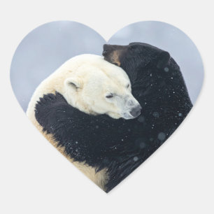 Eisbär und Schwarzbär umarmen sich Herz-Aufkleber
