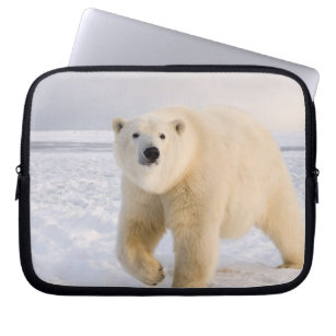 Eisbär, Ursus maritimus, auf Eis und Schnee, 2 Laptopschutzhülle
