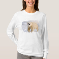 Eisbär, Ursus maritimus, auf Eis und Schnee, 2