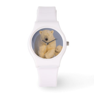Eisbär, Ursus maritimus, Bärin mit Neugeborenen Armbanduhr