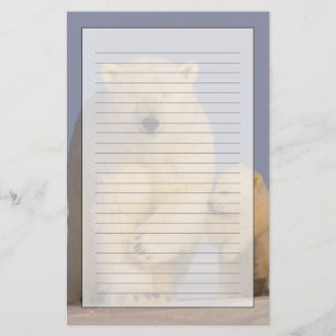 Eisbär, Ursus maritimus, Bärin mit Neugeborenen Briefpapier