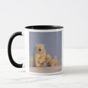 Eisbär, Ursus maritimus, Bärin mit Neugeborenen Tasse