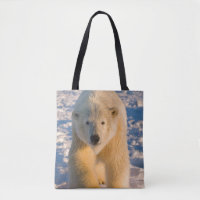 Eisbär, Ursus maritimus, Eisbär auf Eis