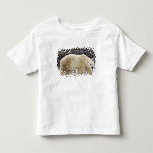 Eisbär Ursus maritimus) in Churchill Kleinkind T-shirt