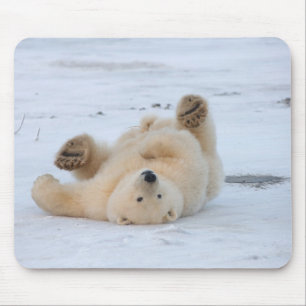 Eisbär, Ursus maritimus, Jungtier rollt 3 Mousepad
