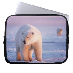 Eisbär, Ursus maritimus Laptopschutzhülle