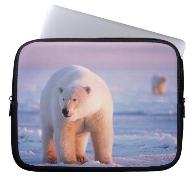 Eisbär, Ursus maritimus Laptopschutzhülle (Vorderseite)