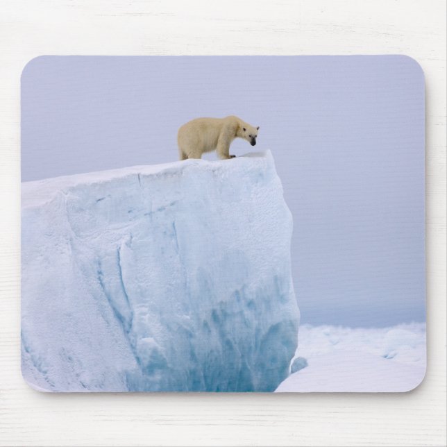 Eisbär, Ursus maritimus Mousepad (Vorne)