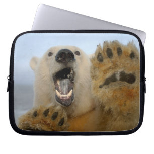 Eisbär, Ursus maritimus, schaut neugierig Laptopschutzhülle