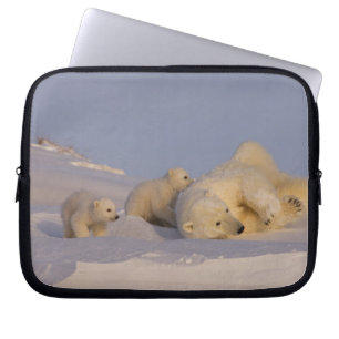 Eisbär, Ursus maritimus, spielende Bärin Laptopschutzhülle