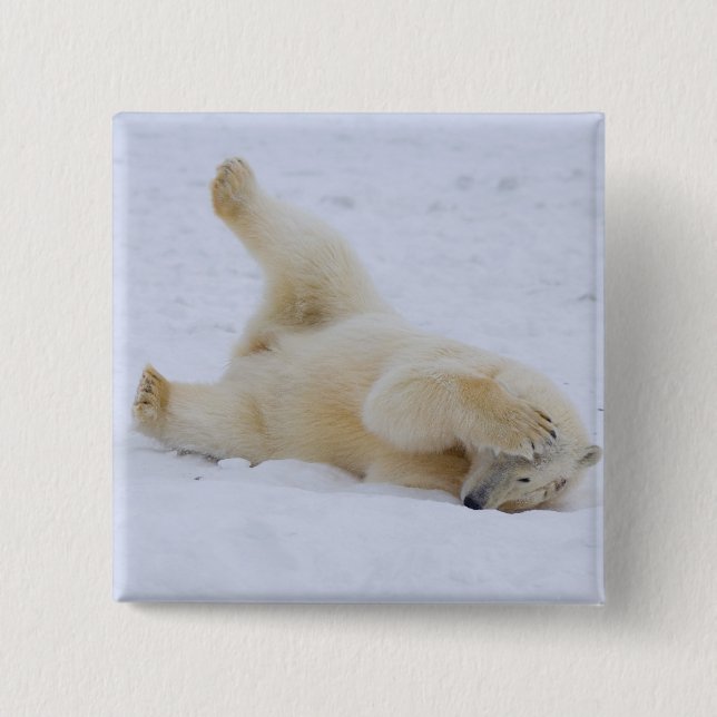 Eisbär, Ursus maritimus, würzig Button (Vorderseite)