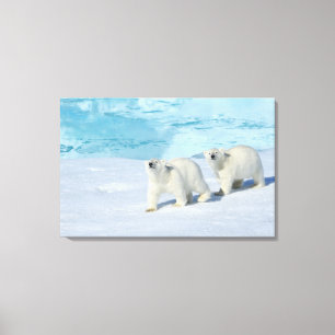 Eisbär, zwei Schalen auf Packeise, Ursus Leinwanddruck