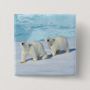 Eisbär, zwei Tassen auf Packeis, Ursus Button