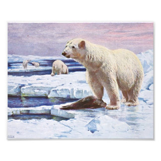 Eisbären auf Eisschollen Art Fotodruck