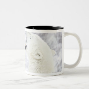 Eisbären, die im Schnee spielen Zweifarbige Tasse