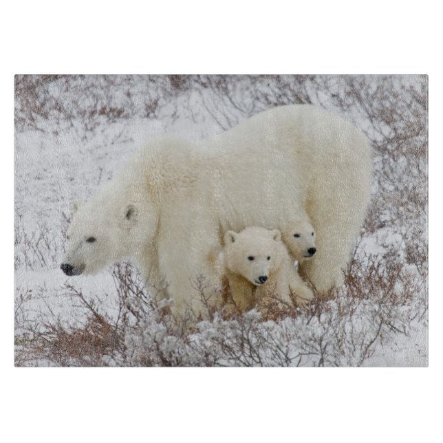Eisbären weiblich und zwei Junge Schneidebrett (Vorderseite)