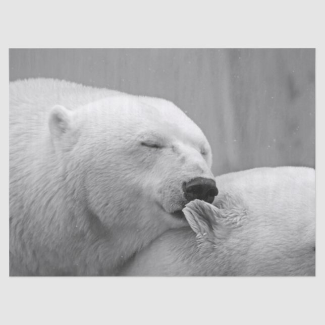 Eisbärengewebe Seidenpapier (Vorderseite)