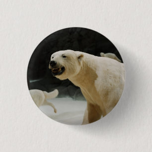 Eisbärengras Button