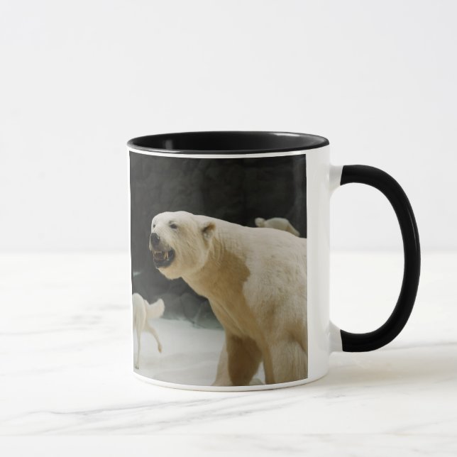 Eisbärengras Tasse (Rechts)