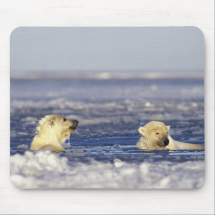 Eisbärenjunge beim Spielen Mousepad