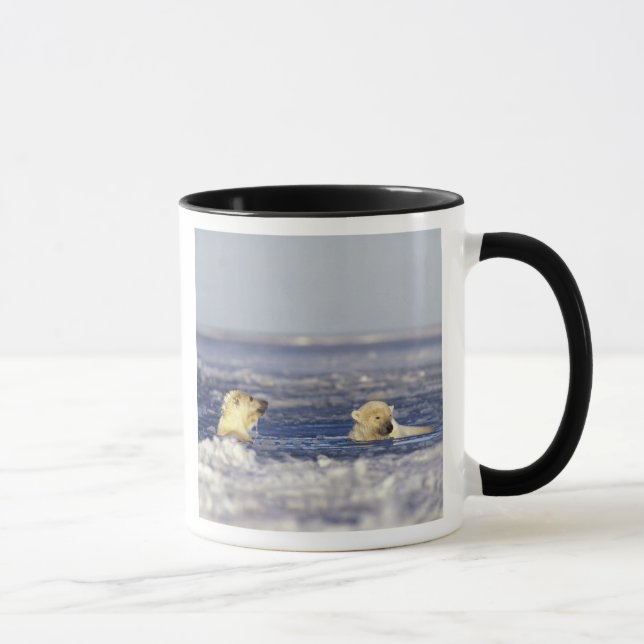 Eisbärenjungen spielen tasse (Rechts)