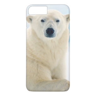 Eisbärenschwanz im Sommereis Case-Mate iPhone Hülle