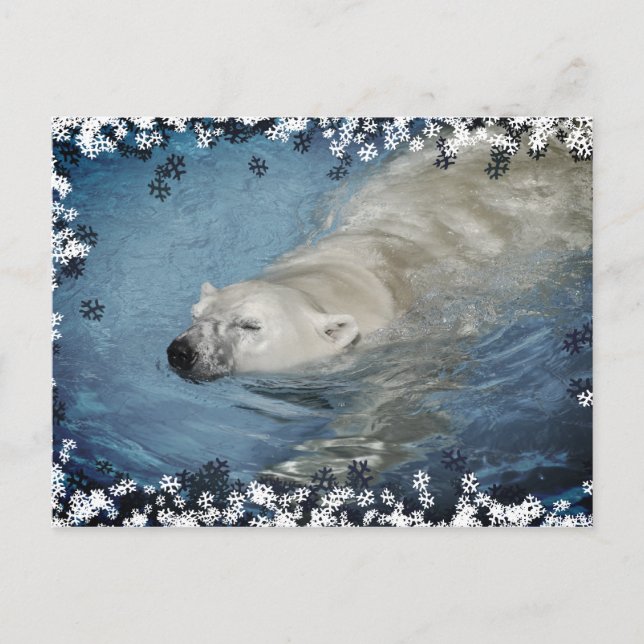 Eisbärenschwimmen Postkarte (Vorderseite)
