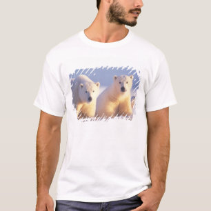 Eisbärin mit Jungtier auf Packeis T-Shirt