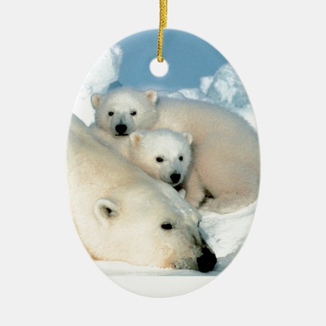 Eisbärjunges 1 keramik ornament (Vorne)