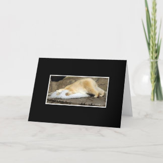 Eisbärverlust Sie Karte