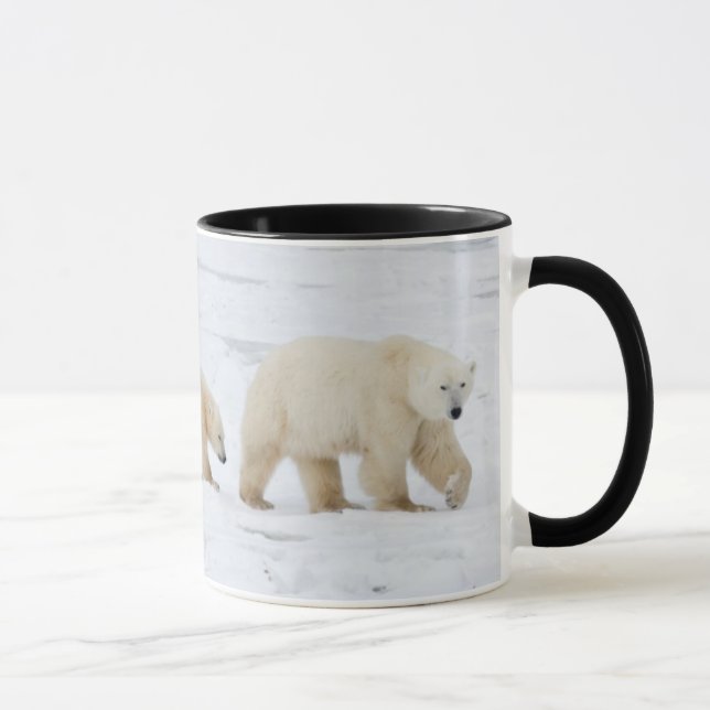 Eisbärweibchen und zwei Junge Tasse (Rechts)