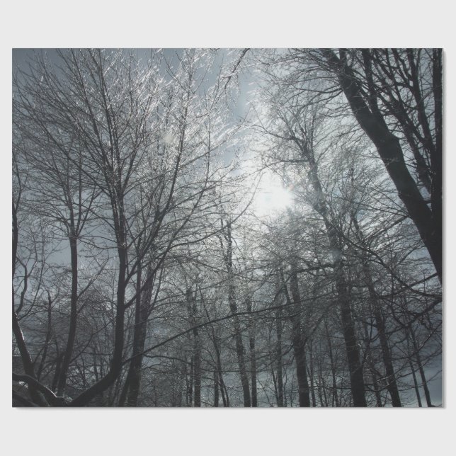 Eisbedeckte Bäume Geschenkpapier (Flach)