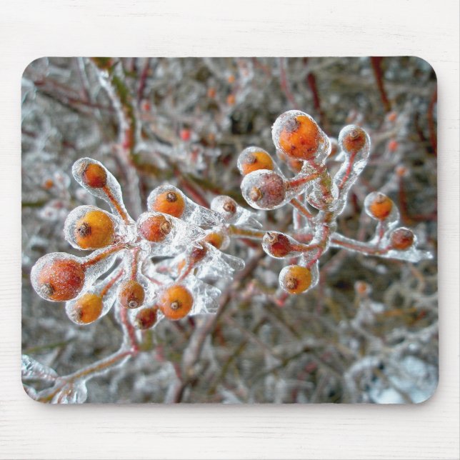 Eisbedeckte Rote Berries Mousepad (Vorne)