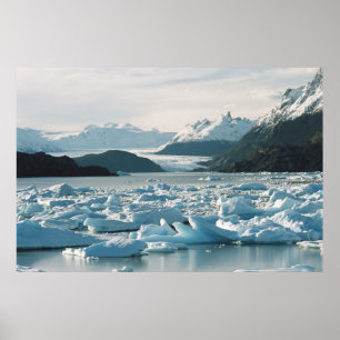 Eisberge Poster