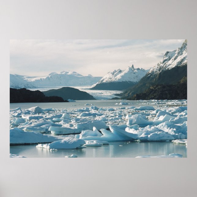 Eisberge Poster (Vorne)