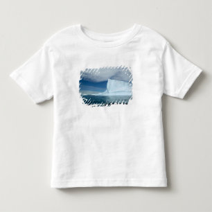Eisberge vor der Südspitze von Süd 2 Kleinkind T-shirt