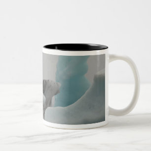 Eisbergformationen Zweifarbige Tasse