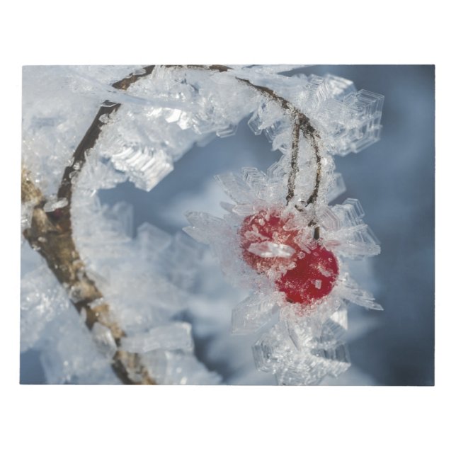 Eisberries Notizblock (Vorderseite)