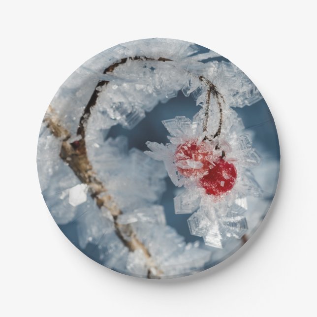 Eisberries Pappteller (Vorderseite)