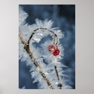 Eisberries Poster
