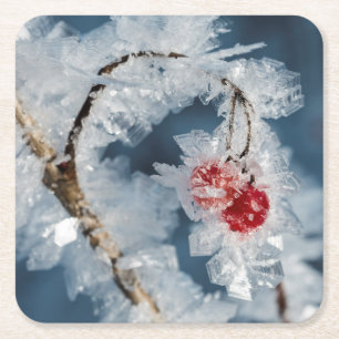 Eisberries Rechteckiger Pappuntersetzer